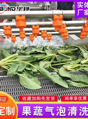 叶蔬清56洗机 央厨房净菜加工流水 辣椒类菜酱菜中清洗加工成套设