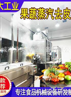 耐用款西红柿蒸汽去皮机番茄加工线运行噪音低稳定性远超同行