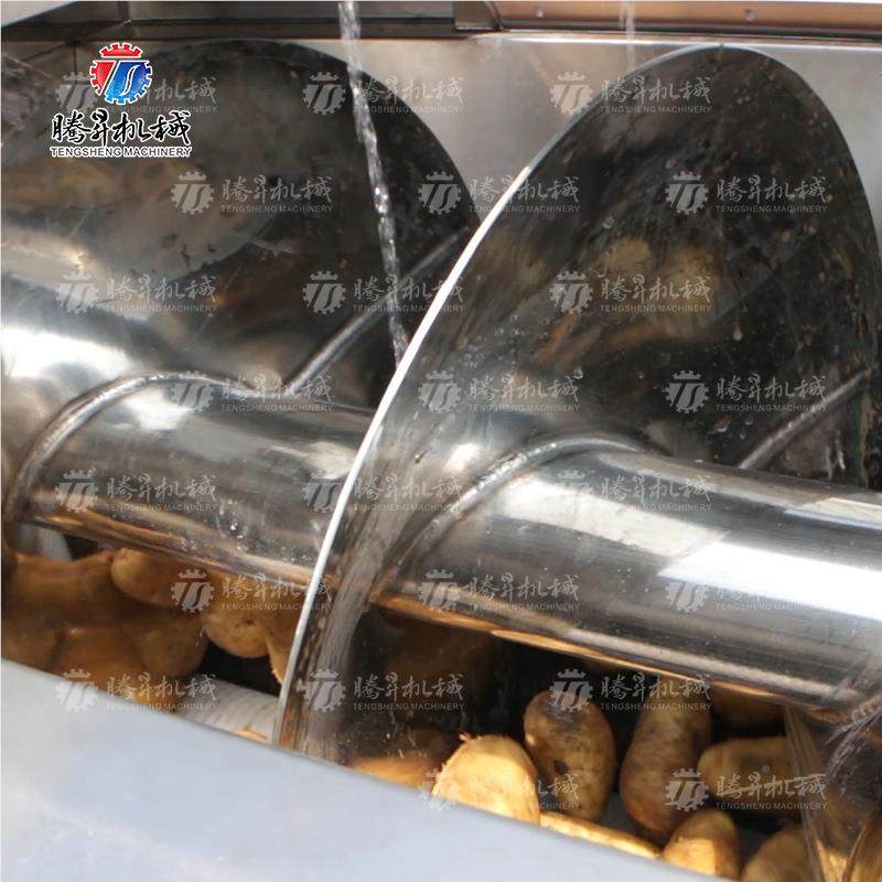 大抛型自动毛辊去皮清洗机蹄 马萝卜去泥机 猪蹄去毛TS-M1240光设,淘宝优惠券,粉丝福利购,淘宝优惠卷