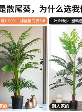 高级彷真绿色植物大型散尾葵假树彷生绿色植物凤尾竹室内造景装饰
