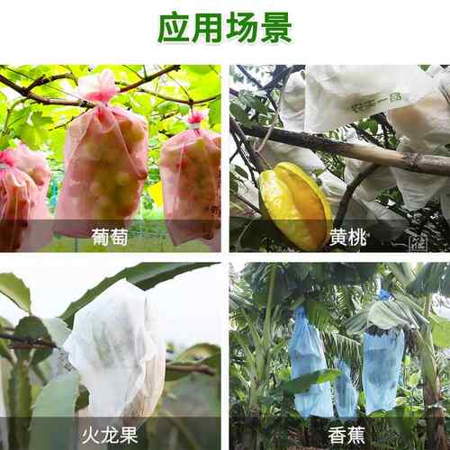 农用防水新型防鸟防虫葡萄柑橘桃子套袋透气多用途水果果树透气强 - 图1