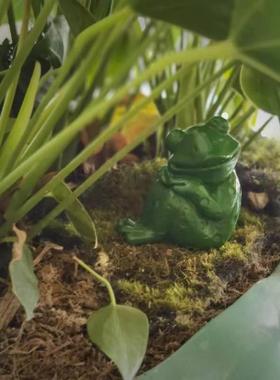 树脂小青蛙摆件茶台桌面茶宠茶玩家居庭院花园鱼缸造景装饰品摆设