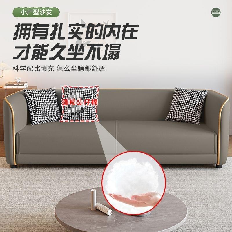 Cat claw leather Italian light luxury small apartment living room apartment rental house leather fabric sofa double three person convenient sofa