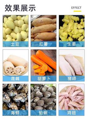 不锈钢毛辊清洗去皮一体机土豆洋葱红薯生姜莲藕果蔬去皮清洗设备