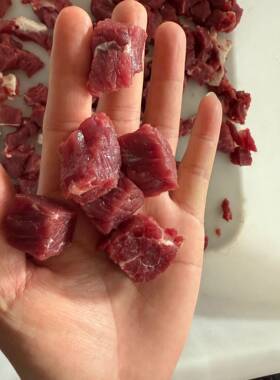 五花肉猪肉切丁机一次成型切肉机狗粮猫粮切块机烧烤肉串切丁设备