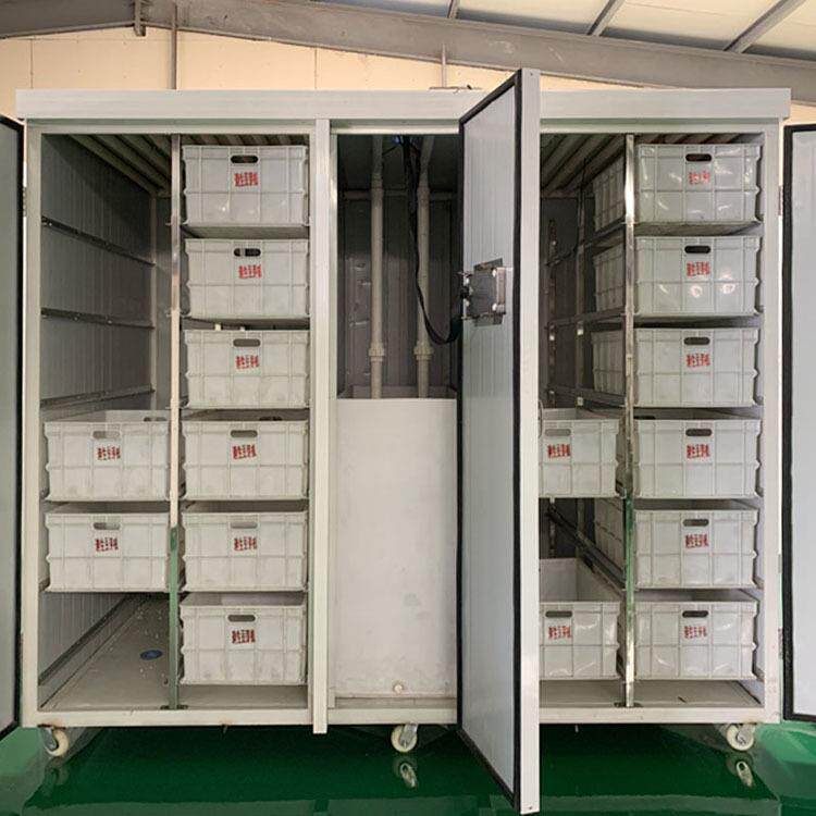 Bean sprout machine commercial intelligent raw bean sprout equipment fully automatic stainless steel bean sprout machine bean sprout machine type 60