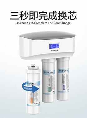 新款家用反渗透净水器厨房净水机RO100G直饮净水机外贸定制