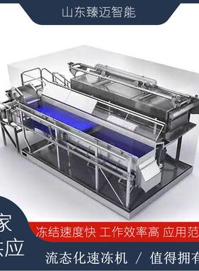 商用速食面点速冻机抽风式连续式速冻机灌汤包大型速冻冷冻设备