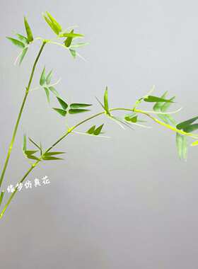 仿真花 中式 竹叶 家居装饰 软装陈设 绿色 单枝室内摄影道具花瓶
