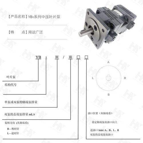 仙居永灵液压双联叶片泵YB1-2.5-10/2.5-10油泵YB1-65-100/32-50/ - 图0