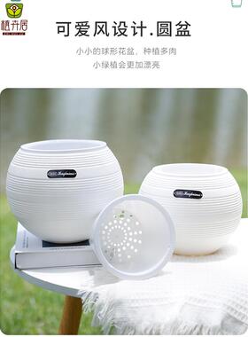 北欧螺纹白色圆球形轻奢花盆家用简约客厅阳台室内外绿植通用花盆