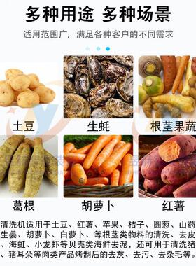 用大型昱赫毛辊喷去淋瓜去皮清商洗机 全自动土地豆胡萝卜泥去杂