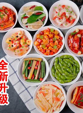 集成灶彷真食品模型小碗菜样品预制菜展示吃播道具舞台表演假食物