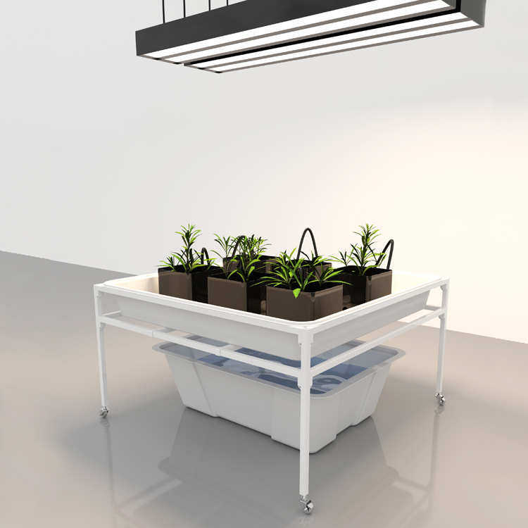 温室大棚水培蔬菜植物生长种植4x4移动水培盆支架种植架批发定制,淘宝优惠券,粉丝福利购,淘宝优惠卷