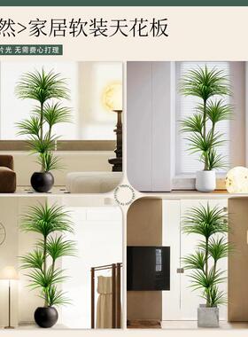 彷真绿色植物高端轻奢龙血树室内客厅大型彷生植物盆栽落地摆件装