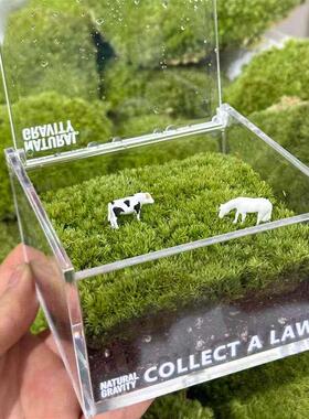 手里有块地牛马私人草坪工位桌面绿植苔藓微景观解压摆件治愈礼物