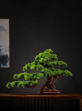 模拟迎宾松木盆景绿色植物装饰新中式桌面入口装饰图雅美松木假树