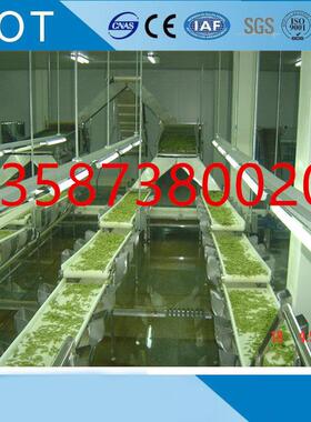 玉米青豌豆速冻线草莓毛豆仁蚕豆薯条薯片芒果丁胡萝卜丁