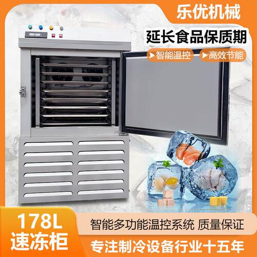 优选冰棍雪糕急速冷冻柜 水果草莓芒果原浆小型商用低温速冻柜 - 图0