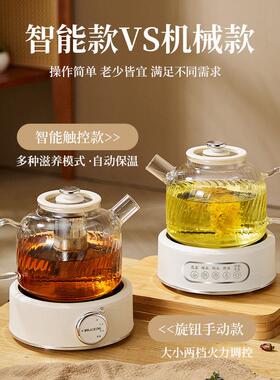 多功能养生壶家用大容量办公室煮茶器玻璃花茶壶套装烧水壶煮茶壶