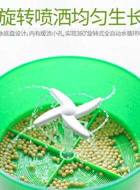 正品容威豆芽机绿豆黄豆家用全自动智能自制大容量发小型发芽罐盆