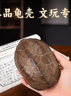 乾隆铜钱六爻摇卦工具算挂手把件家居摆件天然乌龟壳真龟甲文玩