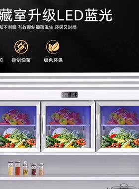 子母柜商用冰柜冷藏冷冻厨房多功能冰箱保鲜台立式一体展示柜