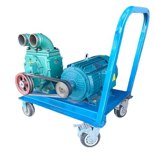 2.5寸高扬程养殖场粪便抽粪泵鸡鸭粪吸粪泵河道泥浆污水抽吸泵 - 图3