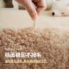 Carpet green bedroom ins style bedside blanket winter warm floor mat thickened children's room bed front foot pad