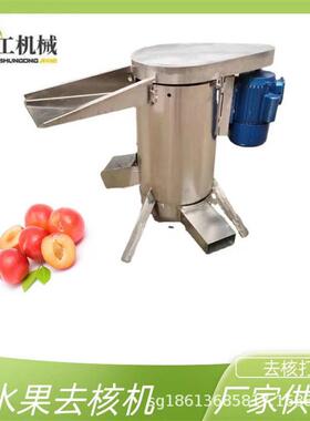 青橄榄不锈钢脱核器工业水果打浆脱皮机山枣核桃大型核果去核机