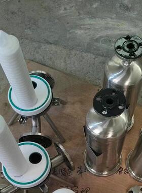 厂家定制FLX1_20芯过滤器固液分离除菌微孔膜筒式过滤器