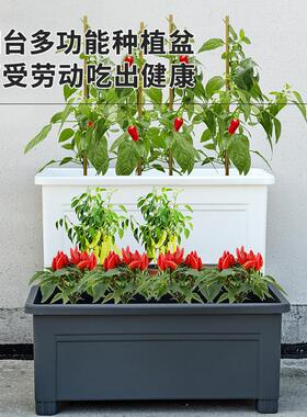 阳台种植箱新款种植盆高脚长方形花盆楼顶花箱种菜神器蔬菜特大号