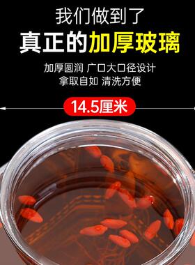 密封玻璃八角泡酒瓶泡酒专用瓶人参药酒酒坛带龙头玻璃泡酒瓶