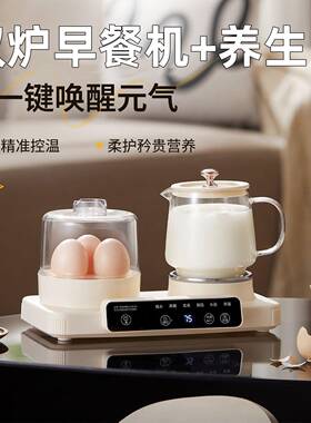 2026新款迷你养生壶玻璃办公室小型花茶早餐机保温一人烧水煮茶器