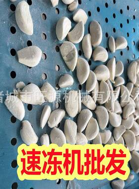 带水水冲霜制速冻机 氟果蔬黄桃草莓冷速冻隧道 897果体冷冻