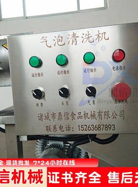 菜喷淋洗机  全器自动果蔬清鼎信白洗机 葡萄清清洗加工机 鼎信机