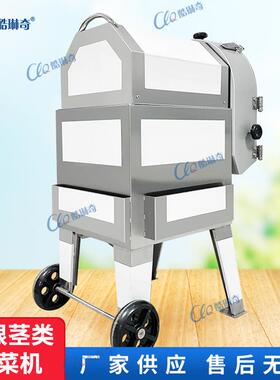 徐闻木瓜切丁机 6MM10mm水果切丁块机 多功能萝卜鞠笋刨丝机