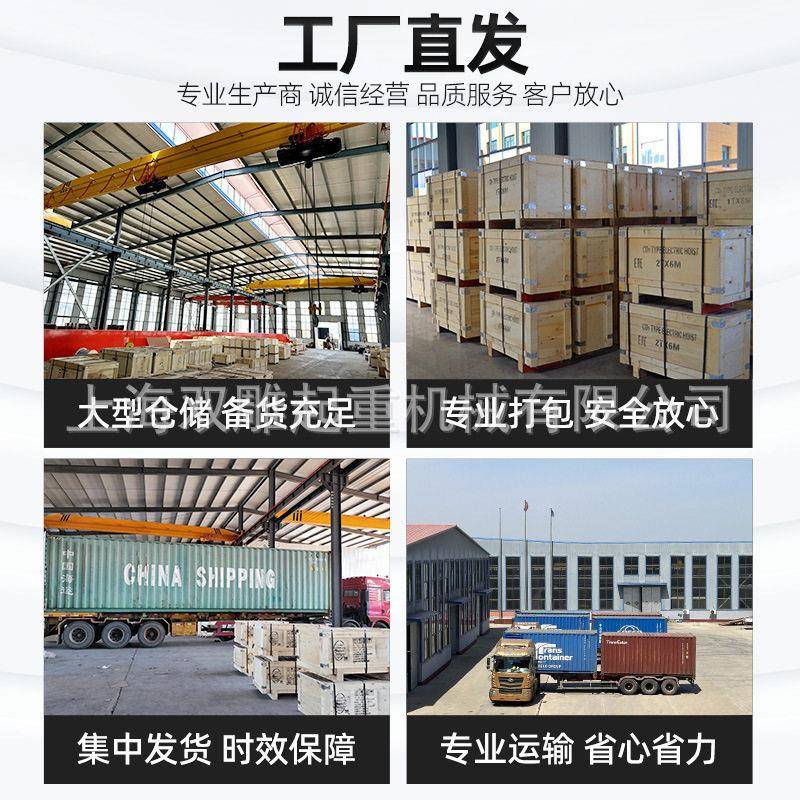 Sports car Diao brand electric car double carving lifting 1 ton 2 tons factory double hook crane ring chain electric car chain