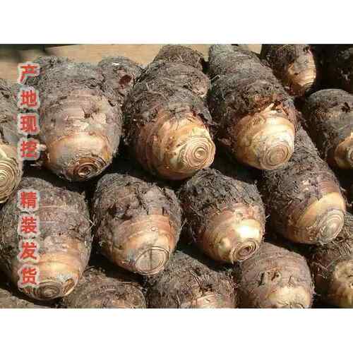 广西荔浦新鲜大粉芋头粉糯农家自种现挖特产毛芋头香芋槟榔芋蔬菜 - 图3