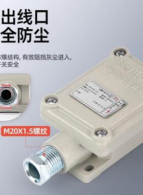 BZX51-5Z/L/N/T限位开关铸铝合金滚轮防爆开关DLXK5防爆行程开关