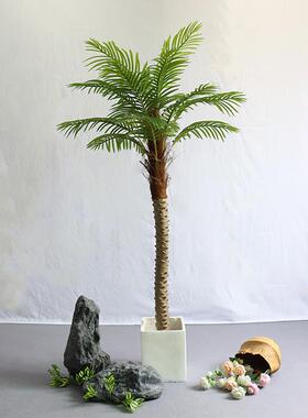 仿真椰子树室内造景热带绿植假椰树大型盆栽装饰酒店落地假棕榈树