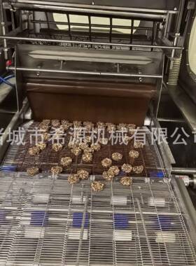 冻干芒果巧克力涂层机400型自动控温自带加热香蕉片涂巧克力