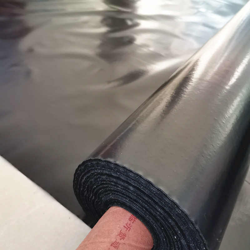 防渗膜鱼塘专用膜养殖防水土工膜藕池鱼池专用薄膜黑塑料膜蓄水膜,淘宝优惠券,粉丝福利购,淘宝优惠卷
