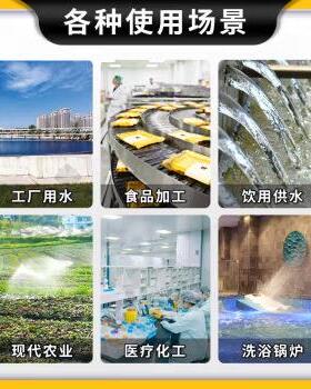 双级反渗透设备工业纯水机桶装水全自动ro净水处工业级净水器