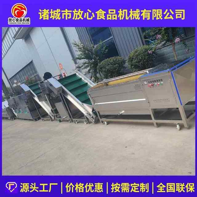 Gastrodia elata graded washing, steaming, cooking, sorting, drying and drying assembly line Gastrodia elata cleaning installation FX-FXJ steaming and drying line