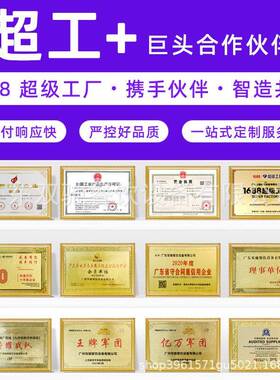 双驰碎冰机商用奶茶小型大功率碎冰机电动家用铸铝碎冰机