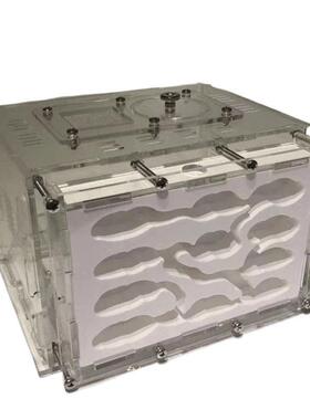 石膏蚁巢巢生亚克力城堡试管宠物生日特硬蚁巢宠物混凝土散装长宽