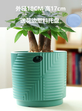 TEMU蝴蝶兰花盆陶瓷清仓大号花瓶