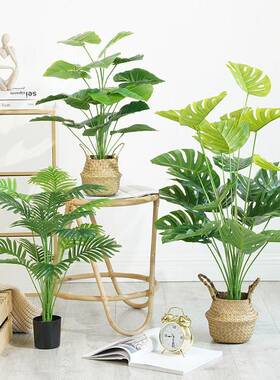彷真绿色植物摆件龟背芋盆栽叶子客厅小型落地植物高端轻奢室内假