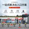 Passage gate anti-static pedestrian passage gate gate control attendance ticketing system school park entrance and exit swing gate